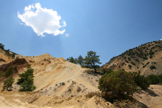 2008 White Family Reunion at Big Rock Candy Mountain, Utah